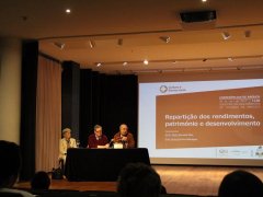Repartição dos rendimentos, património e desenvolvimento