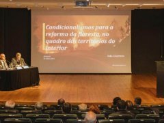 II Jornada da Floresta - Dia 23