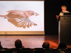 Jornadas da Floresta: "A Floresta e os Incêndios"